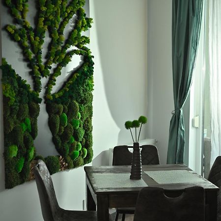 Mirvana Apartments Metheor Executive Suite Timişoara Exterior foto