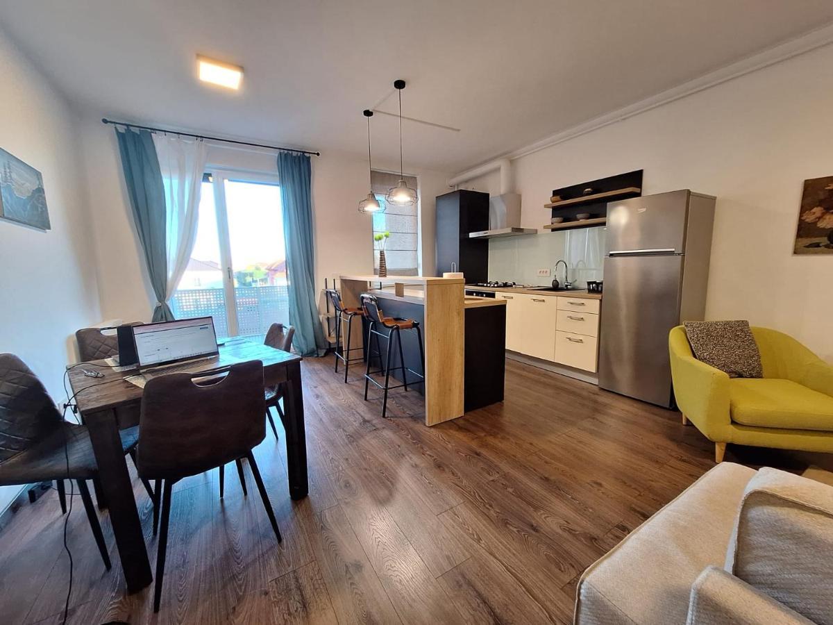 Mirvana Apartments Metheor Executive Suite Timişoara Exterior foto